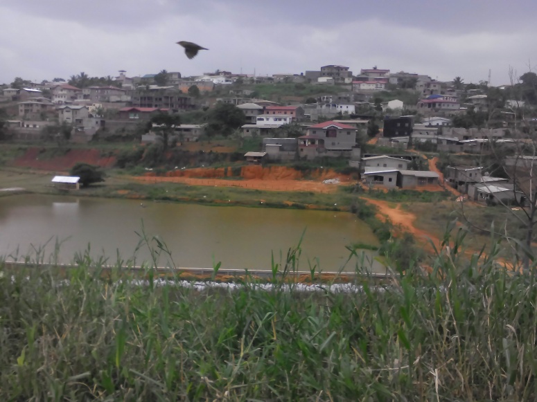 Fig. 5: Grey coloured fish pond across a river at the Mending urban front Image credit: Humphrey Ngala Ndi 